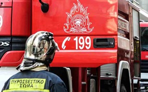 Τρίκαλα: Κινητοποίηση της Πυροσβεστικής για φωτιά στις Καρυές